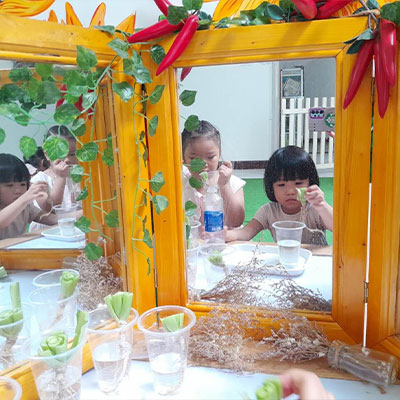 Hoạt động trải nghiệm - trồng cây