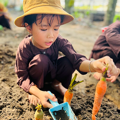 Nông trại vui vẻ (Sunshine): Trồng cây - Thu hoạch