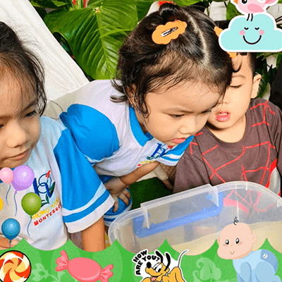 Nối tiếp "Dự án Đại Dương"