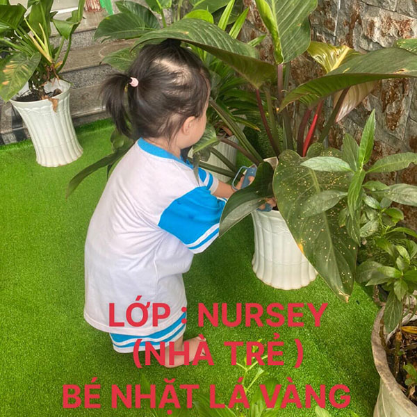 Chương trình giáo dục trẻ từ 3 tuổi đến 4 tuổi