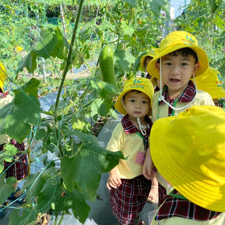 Dã ngoại nông trại