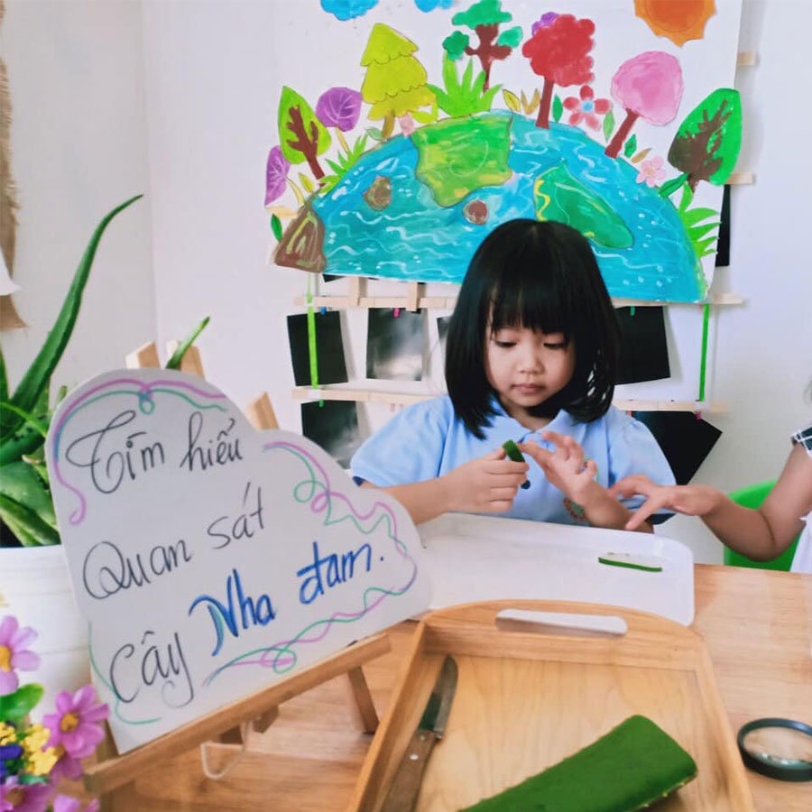 Bé khám phá: tập quan sát cây nha đam
